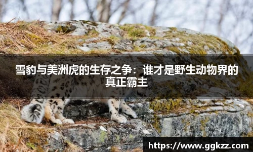 雪豹与美洲虎的生存之争：谁才是野生动物界的真正霸主